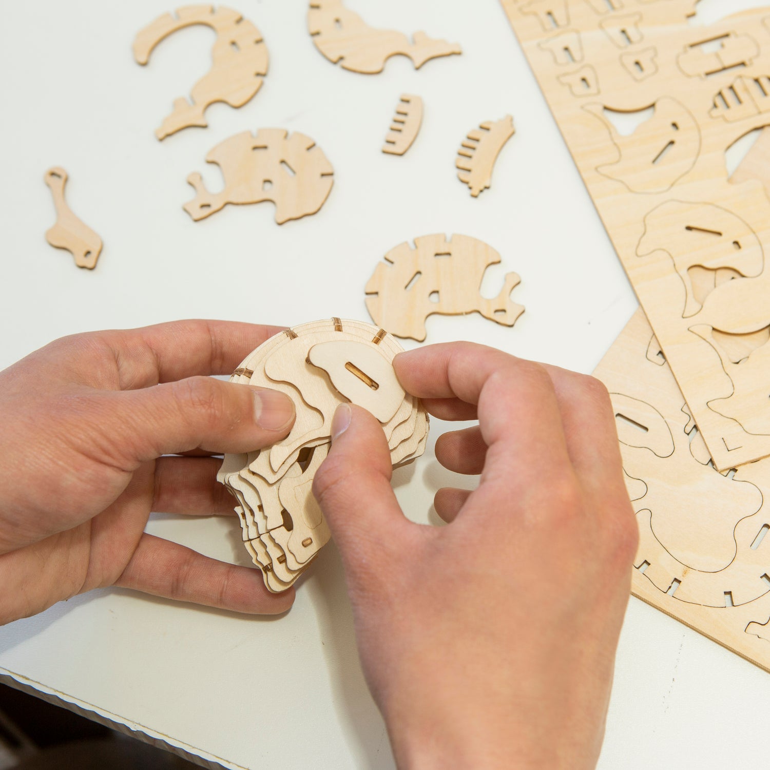 Schedel 3D Houten Puzzel