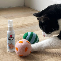 Kiko Spray & Play