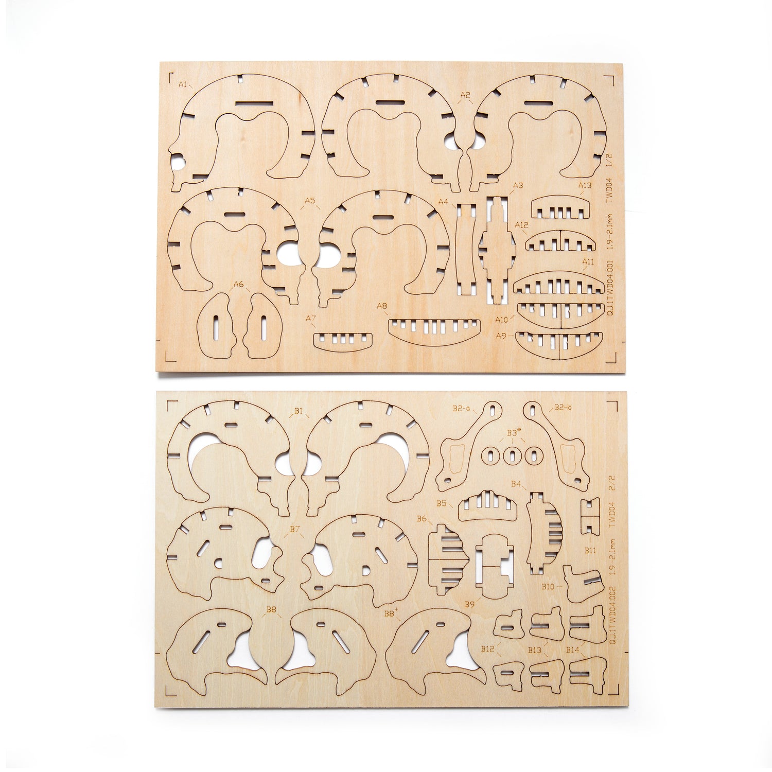Schedel 3D Houten Puzzel